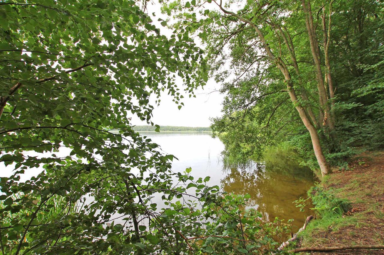 Ferienwohnung Im Forsthaus Am See Schwarz Exterior foto